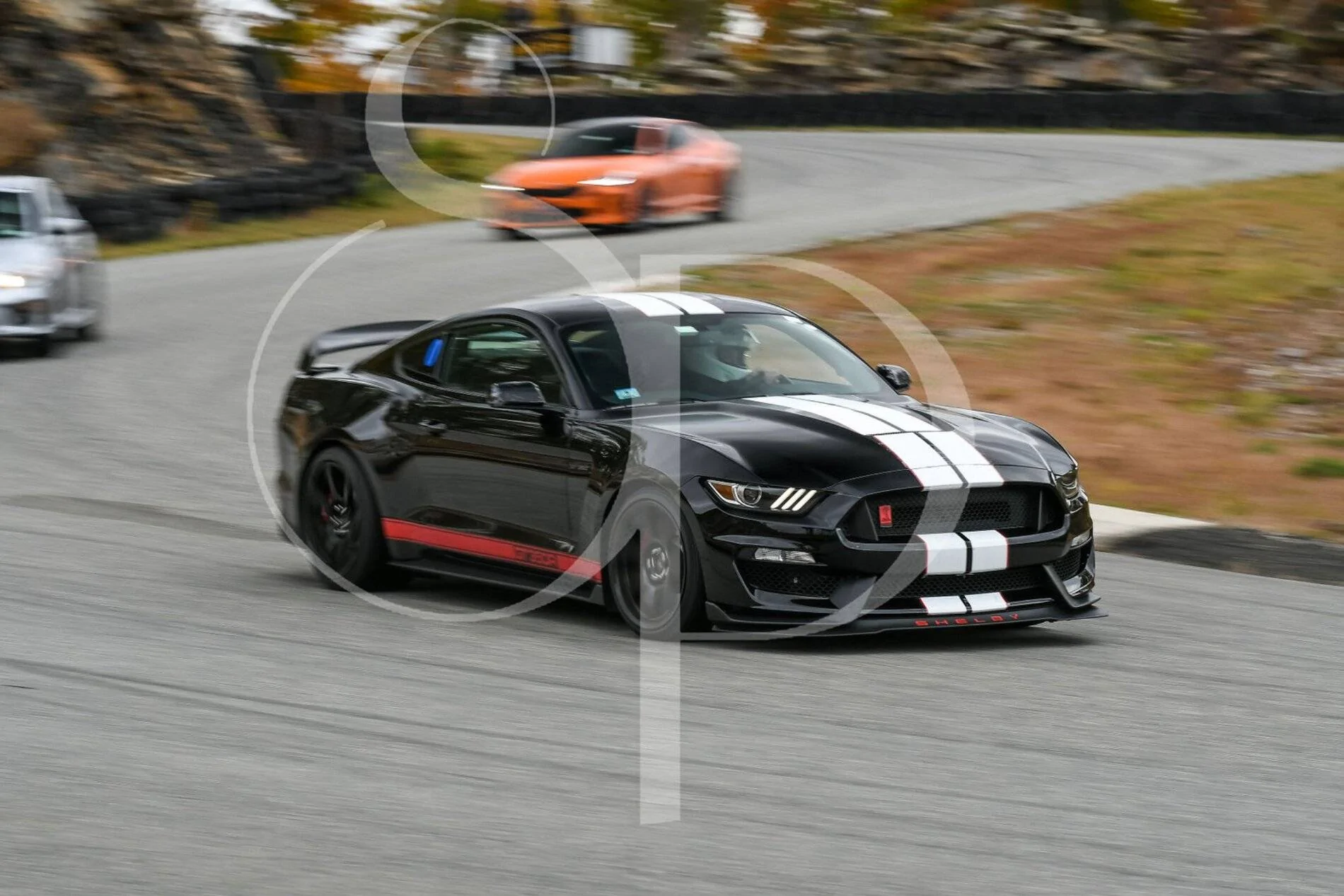 Palmer4_10_21_2020.webp