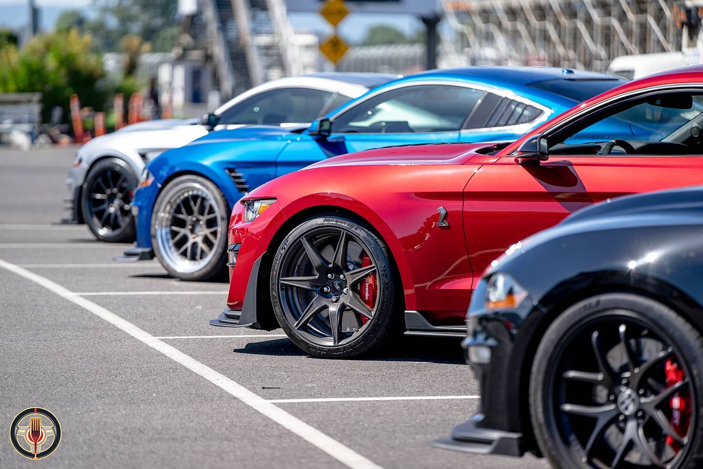 Taste of Motorsports.jpg