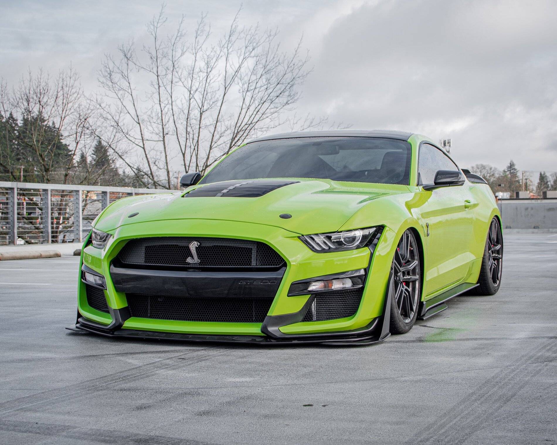 greencar.jpg