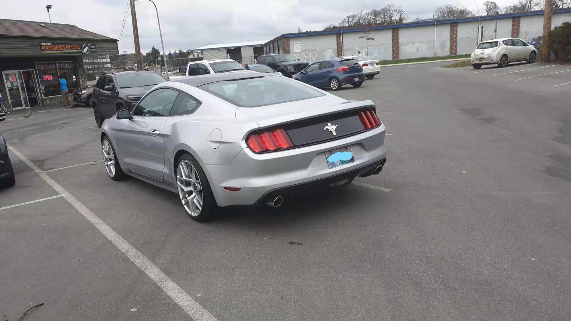 Mustang_Wrap_LI.jpg