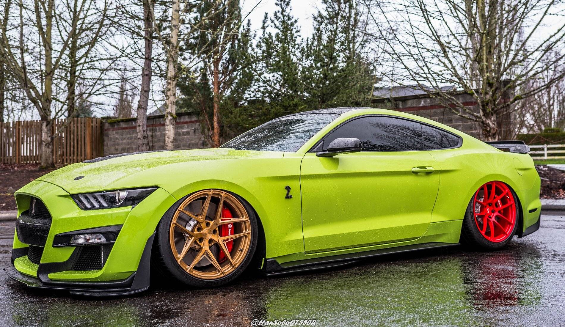 SV502 & SV705 Bagged GT500 Alex (1 of 15).JPG