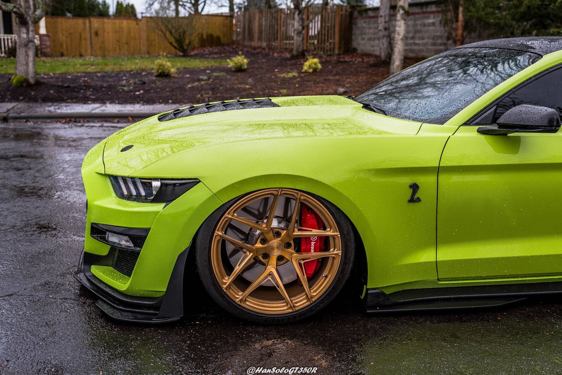 SV502 & SV705 Bagged GT500 Alex (2 of 15).JPG