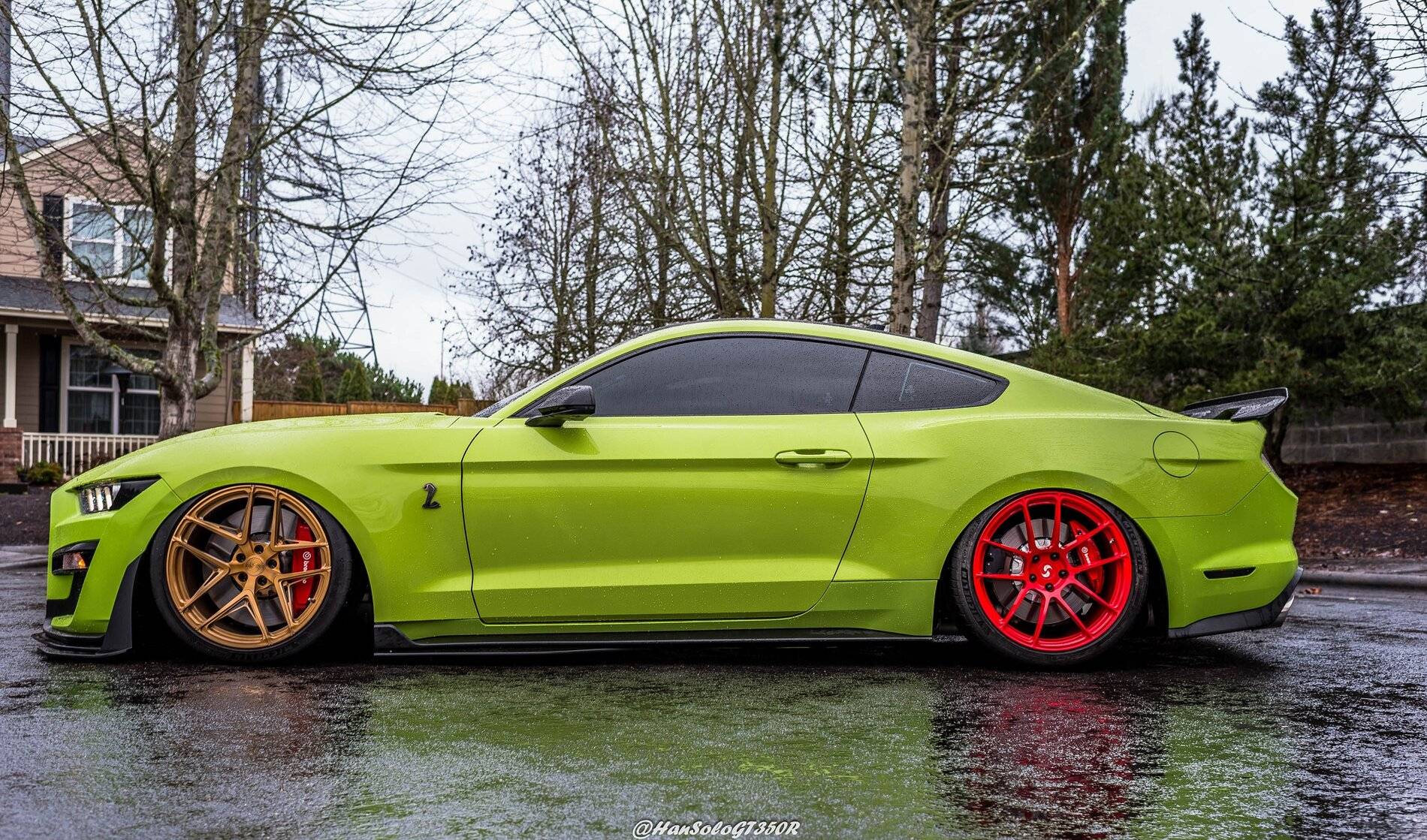 SV502 & SV705 Bagged GT500 Alex (5 of 15).JPG