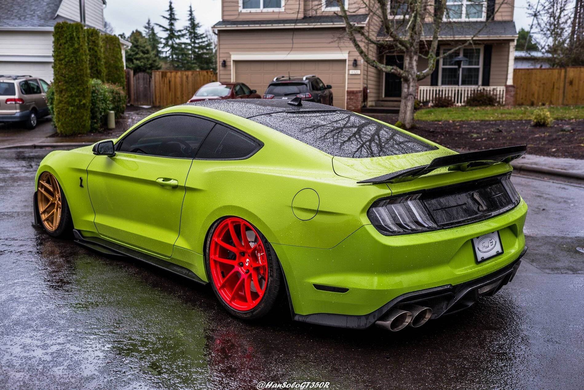 SV502 & SV705 Bagged GT500 Alex (6 of 15).JPG