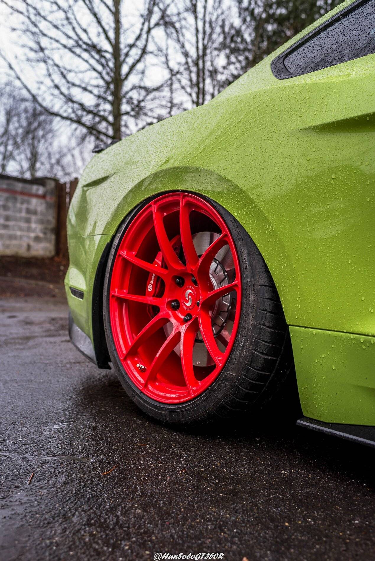 SV502 & SV705 Bagged GT500 Alex (9 of 15).JPG