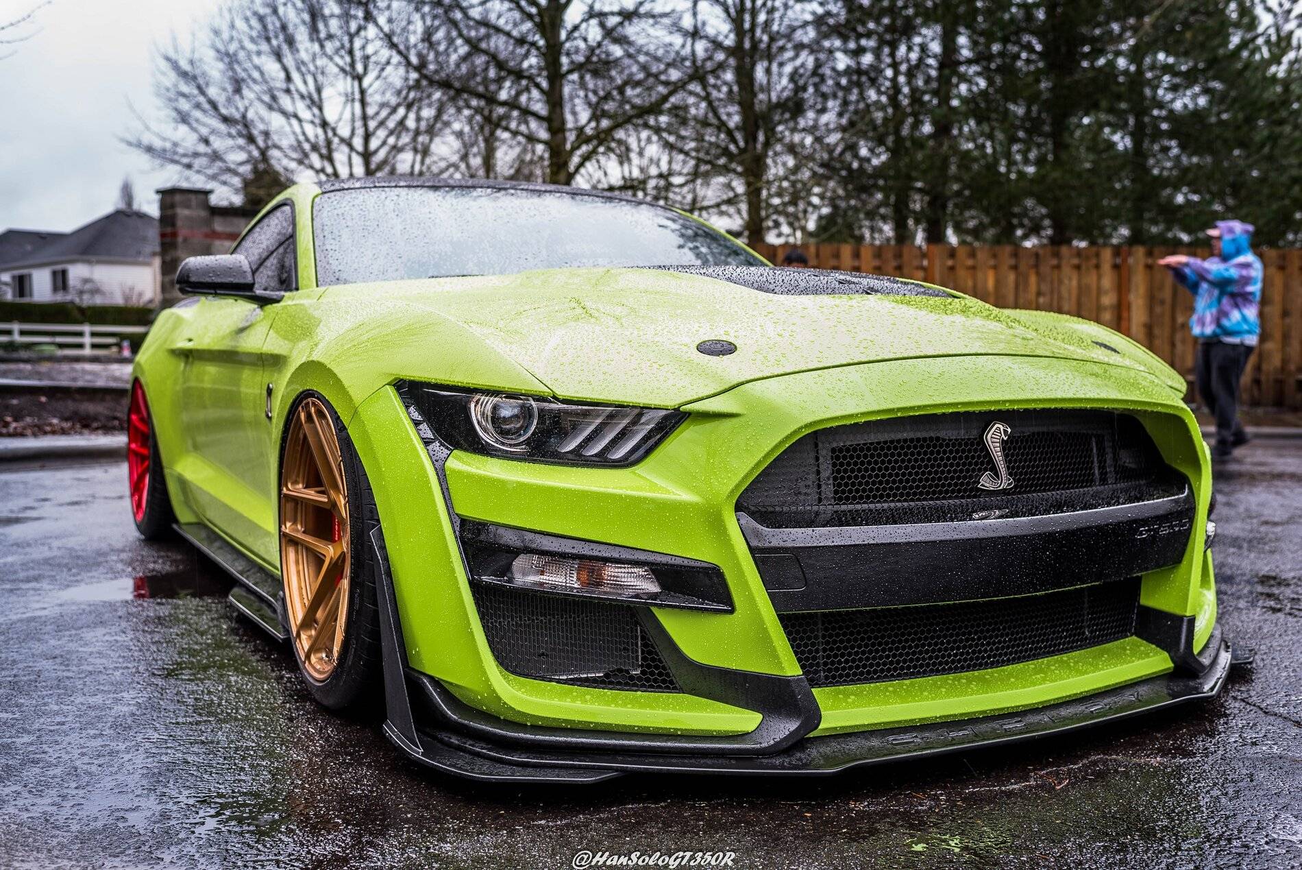 SV502 & SV705 Bagged GT500 Alex (11 of 15).JPG