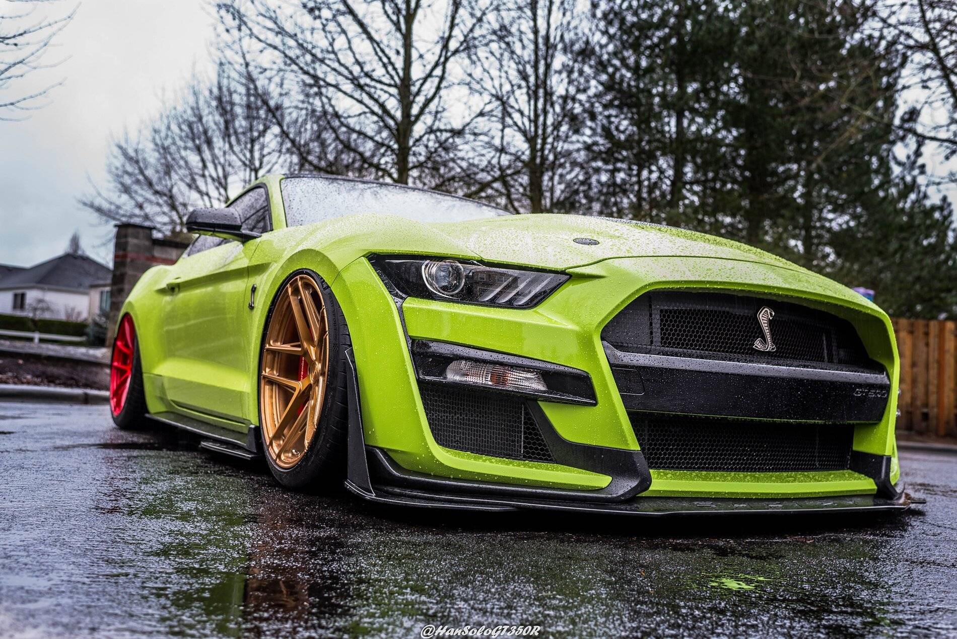 SV502 & SV705 Bagged GT500 Alex (12 of 15).JPG