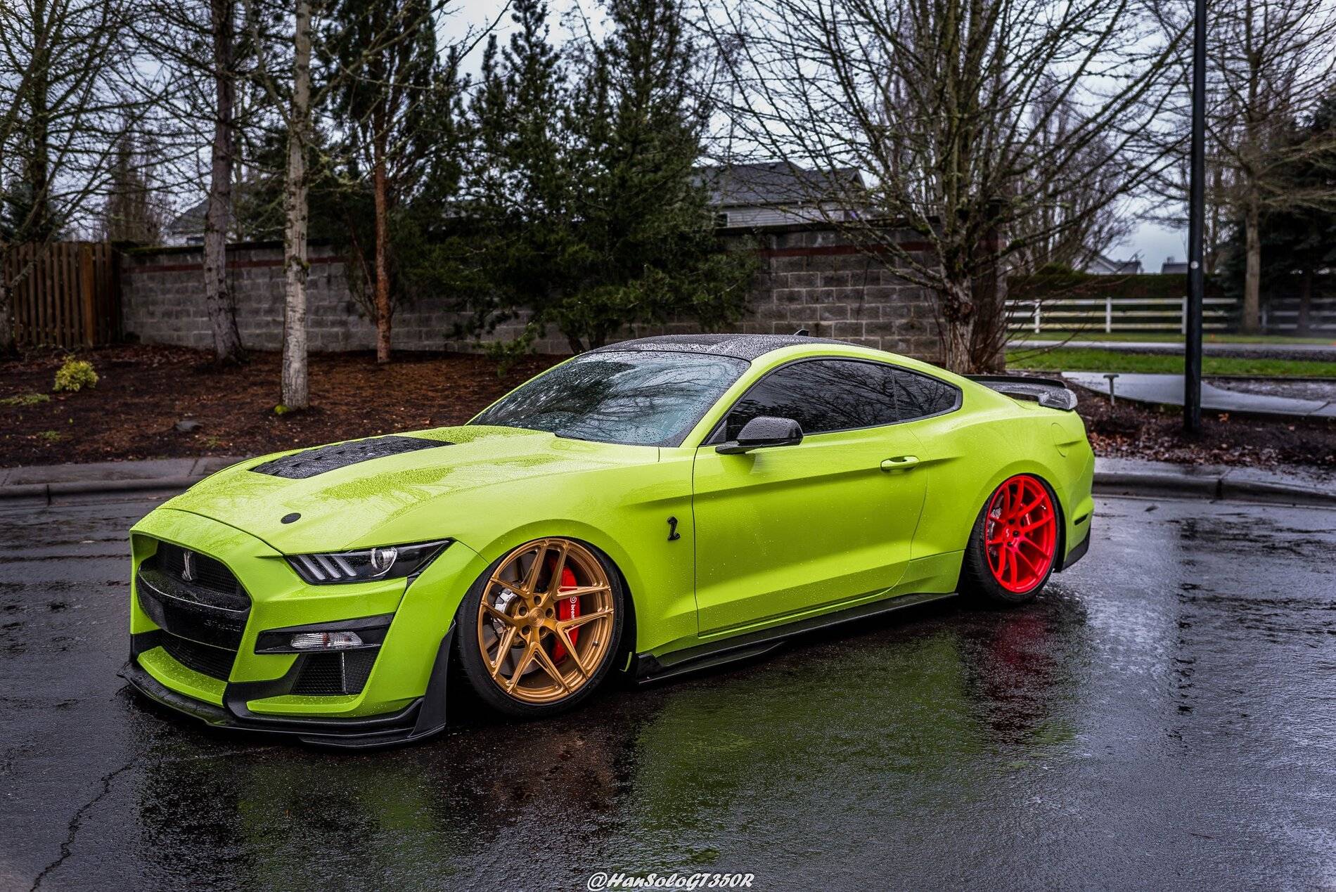 SV502 & SV705 Bagged GT500 Alex (13 of 15).JPG