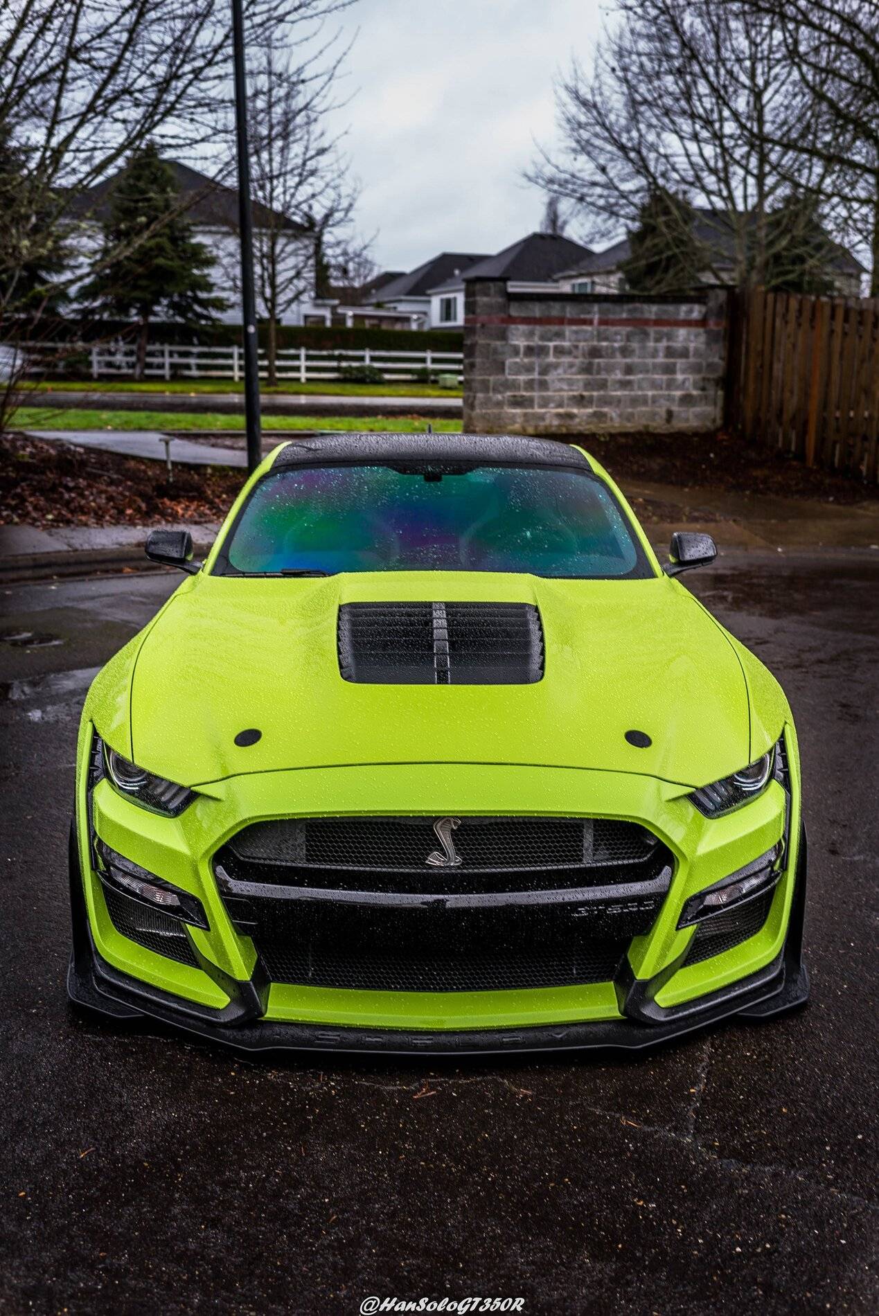 SV502 & SV705 Bagged GT500 Alex (14 of 15).JPG