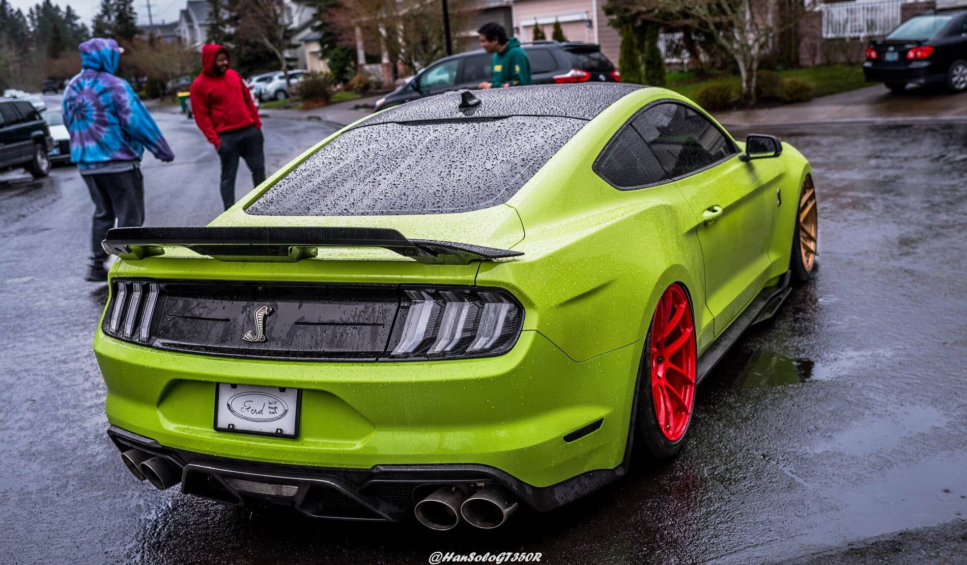 SV502 & SV705 Bagged GT500 Alex (15 of 15).JPG