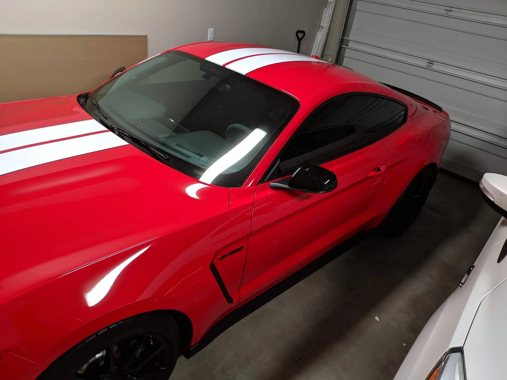 IMG_20190727_091720.webp