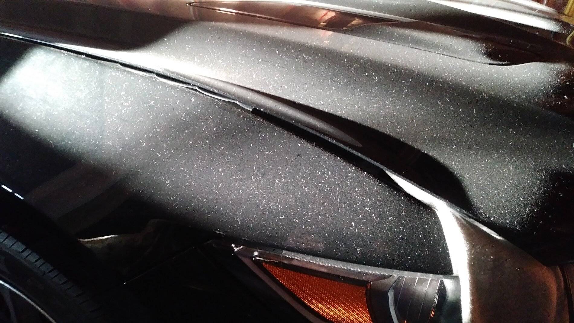 Dusty Mustang During Winter Storage.jpg