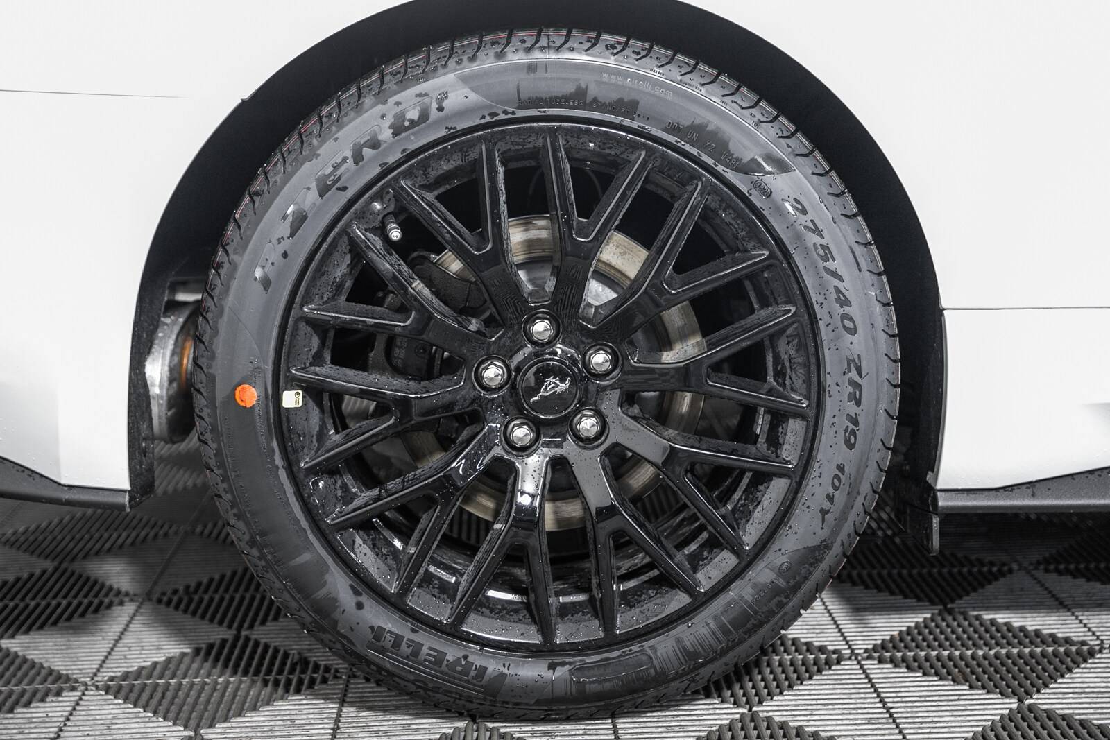 pp1 rear tire.jpg