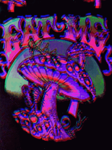 magic mushroom.gif