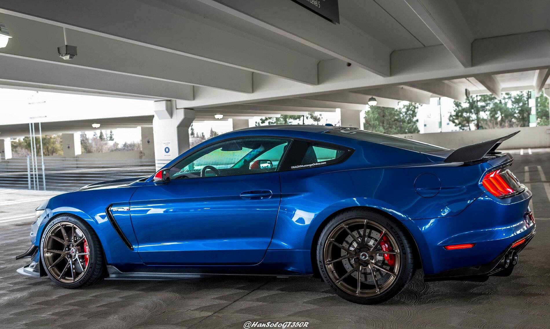 SV801 GT350R Brushed Bronze Tinted Archtype Side Extensions (4 of 19).JPG