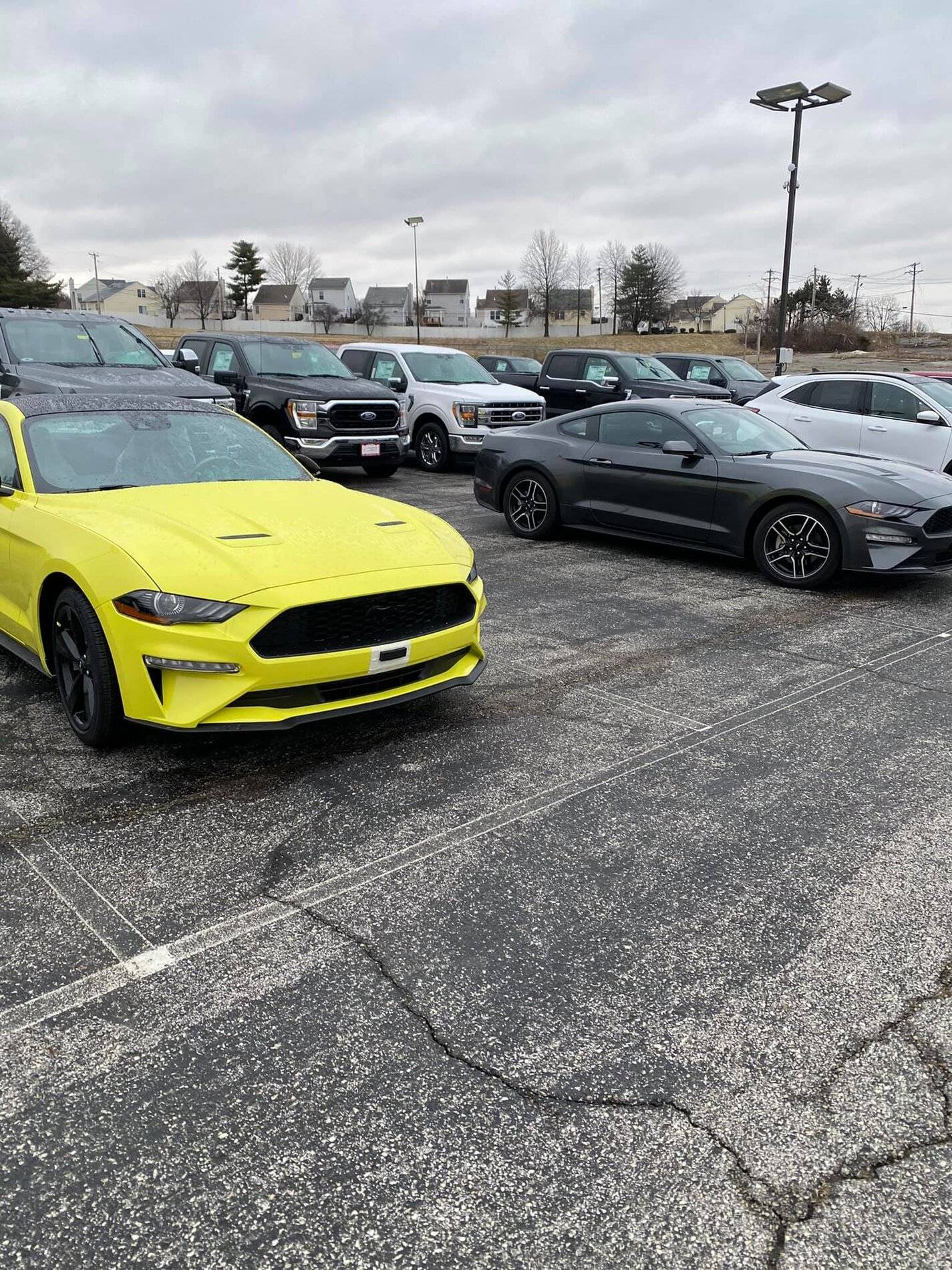 Grabber Yellow Black Accent Package.jpg