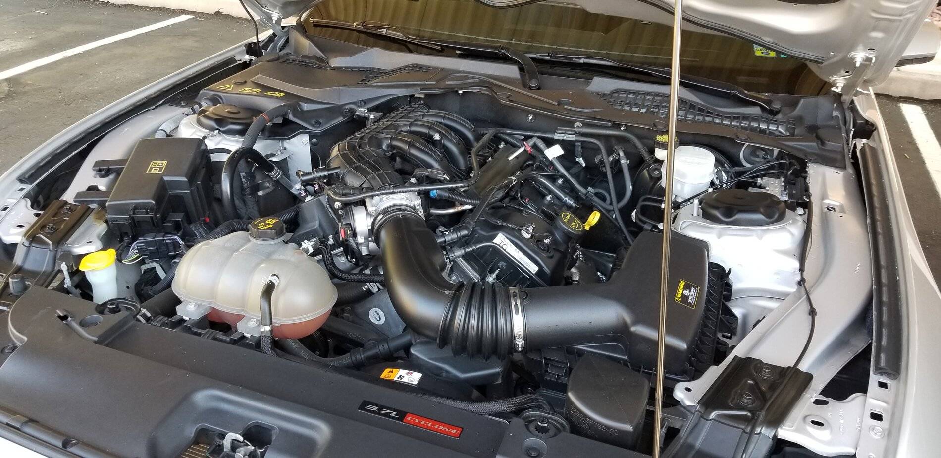 mustang engine 3.jpg