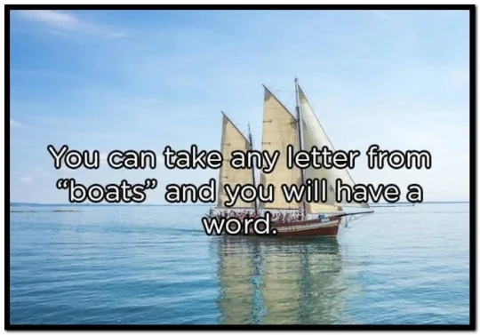 553060b0f04332681bd3284f2ca402cb01bdfcbb.webp