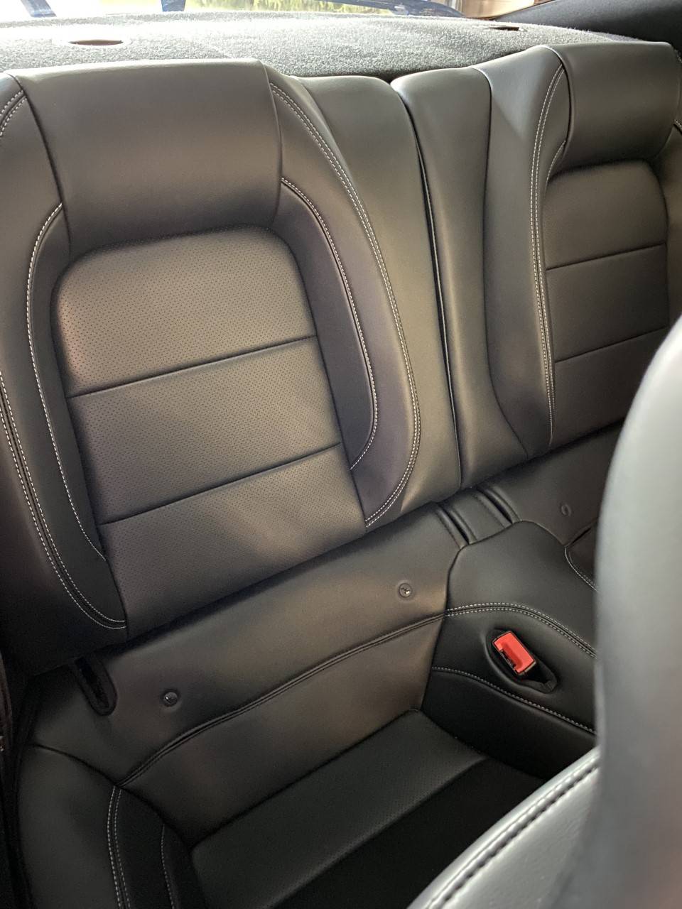 backseat.jpg