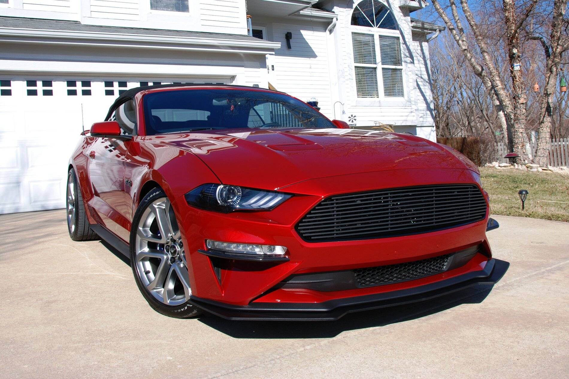 DSC_8362.JPG