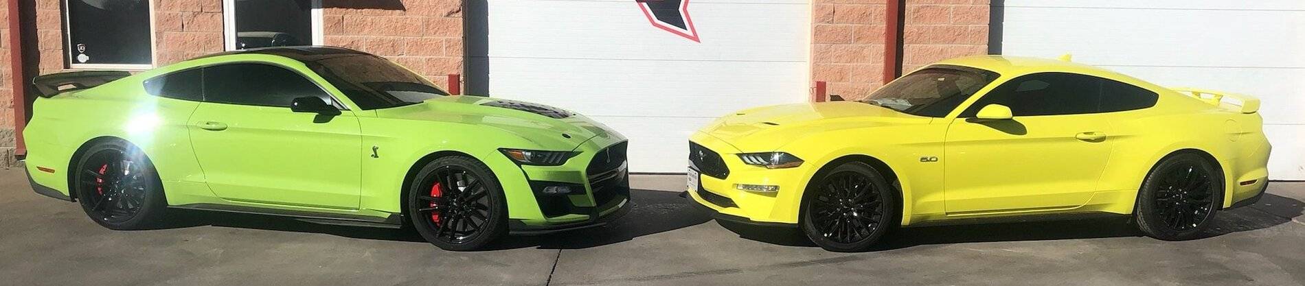 Grabber Lime v Grabber Yellow 1.jpg