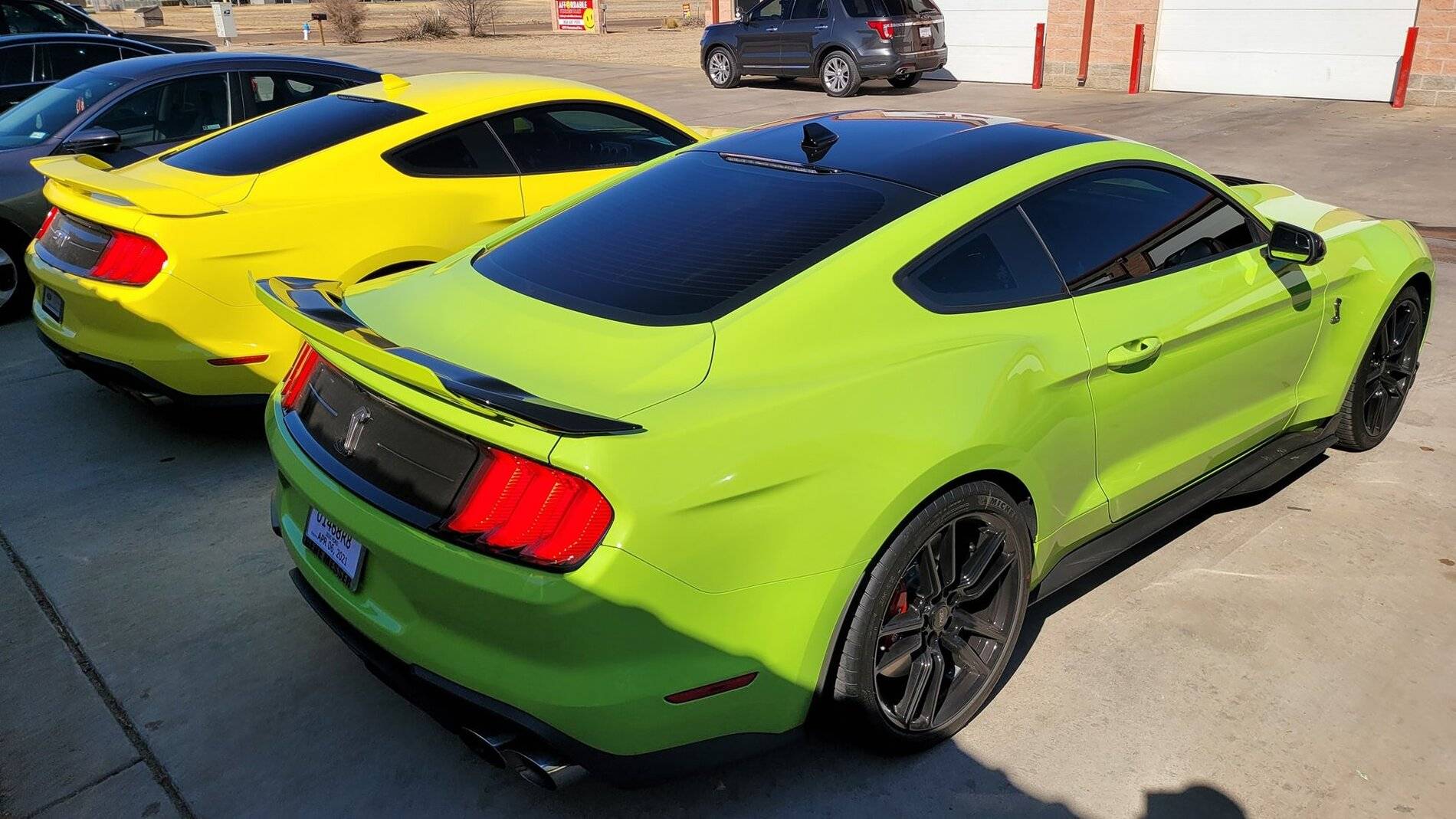 Grabber Lime v Grabber Yellow 2.jpg
