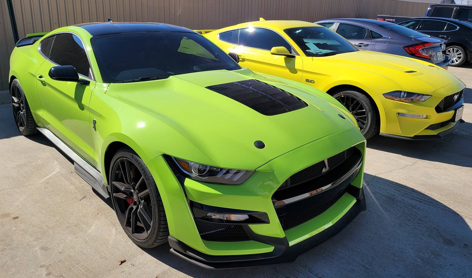 Grabber Lime v Grabber Yellow 3.jpg