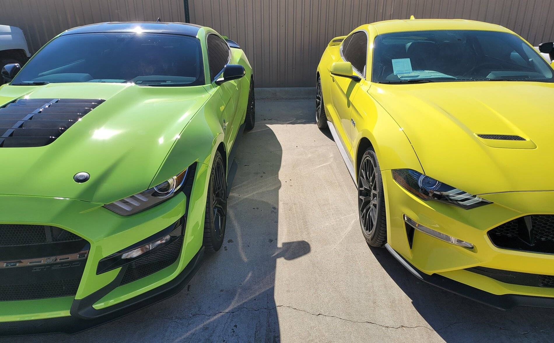 Grabber Lime v Grabber Yellow 5.jpg