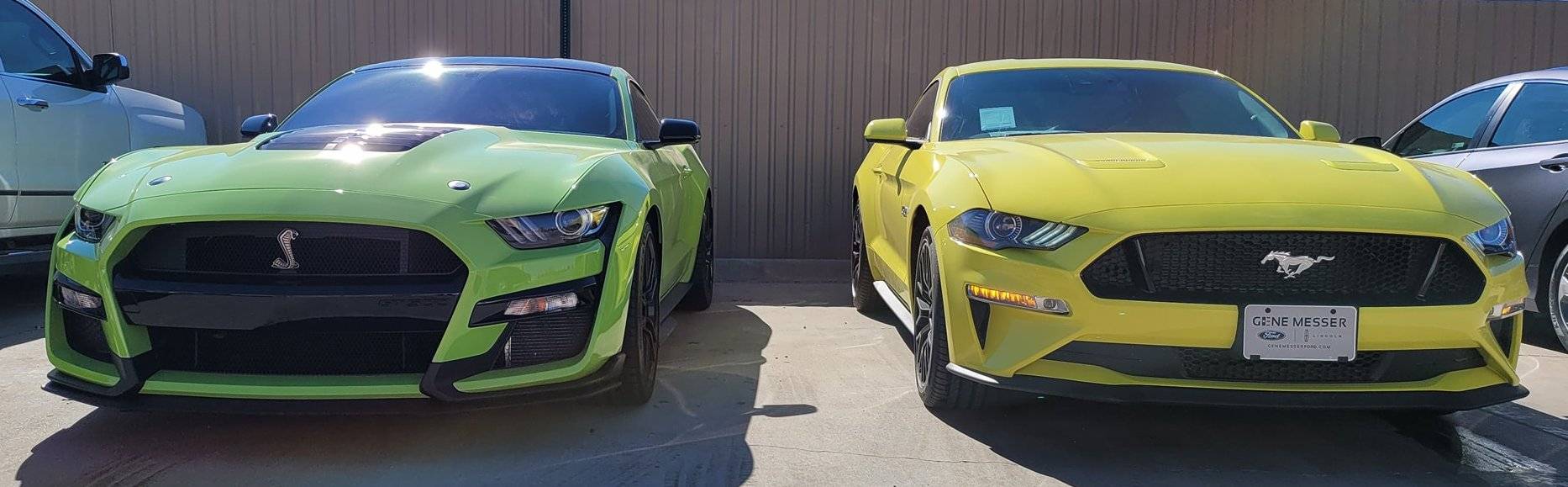 Grabber Lime v Grabber Yellow 6.jpg