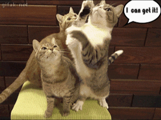 BA574F13-FEED-4C75-9BA8-4A0FA62FE460.gif