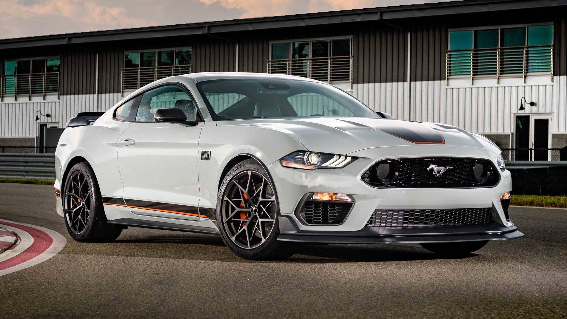 FJG Stripe.JPG