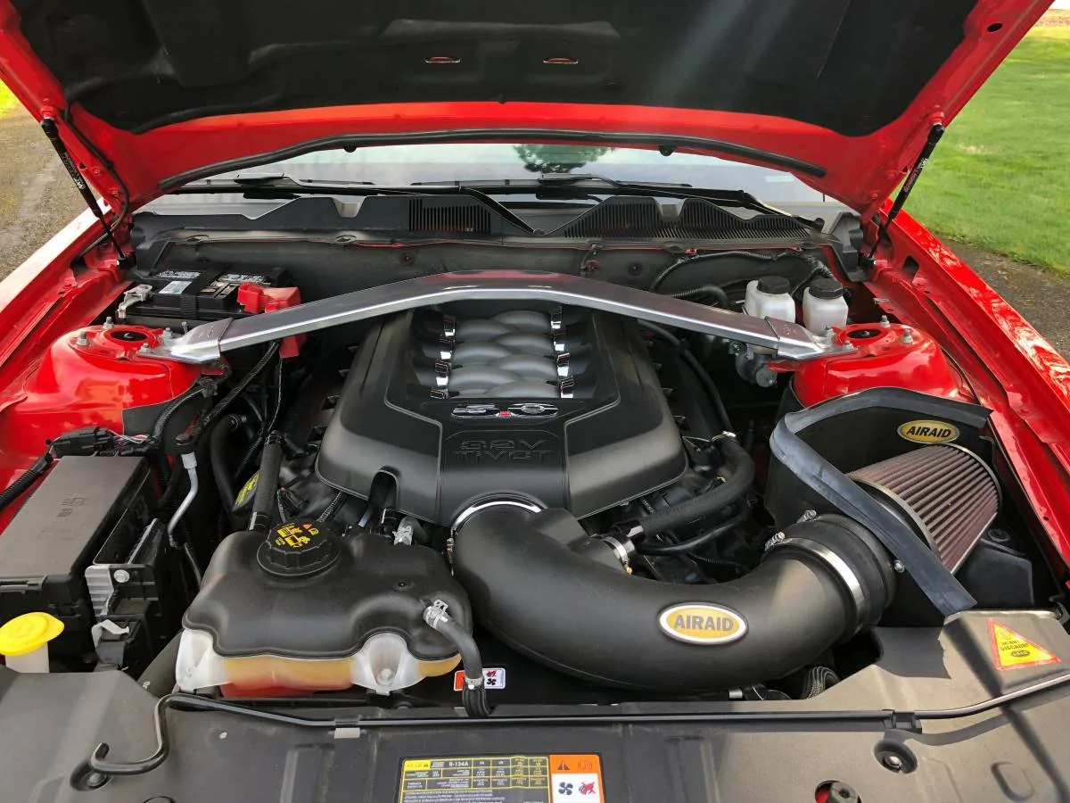 old Mustang4.webp