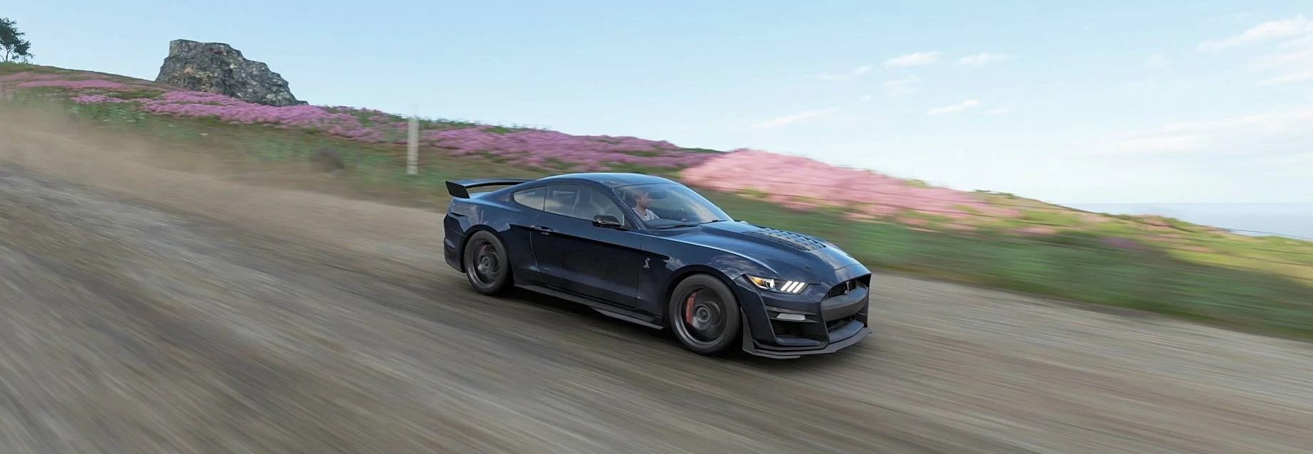 Forza.jpg