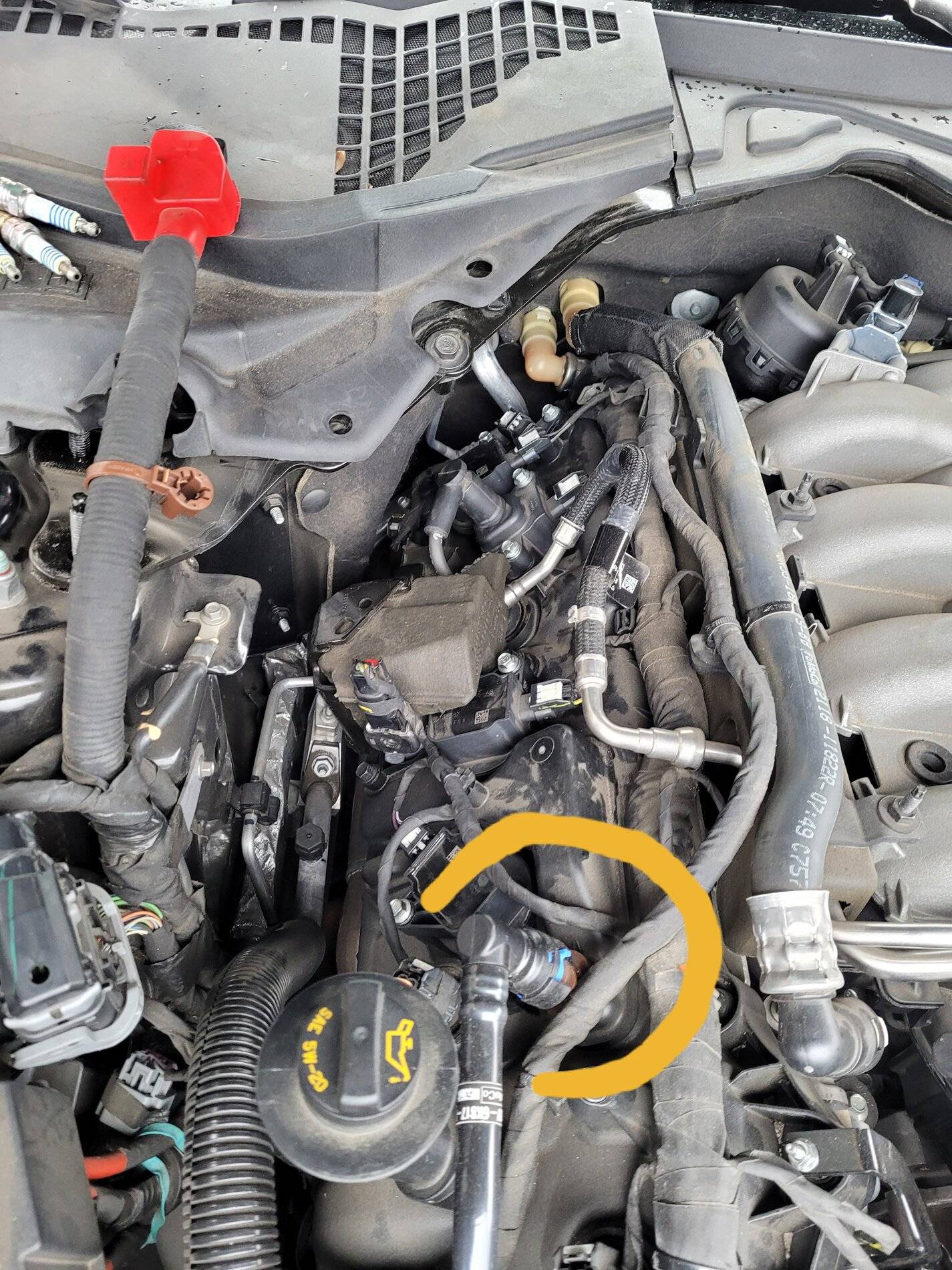 20201224_132359.jpg