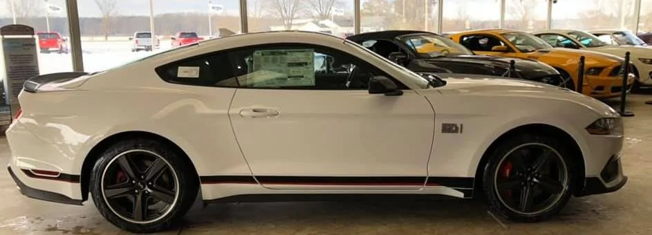 21MY Mach 1 Dealer 2.webp