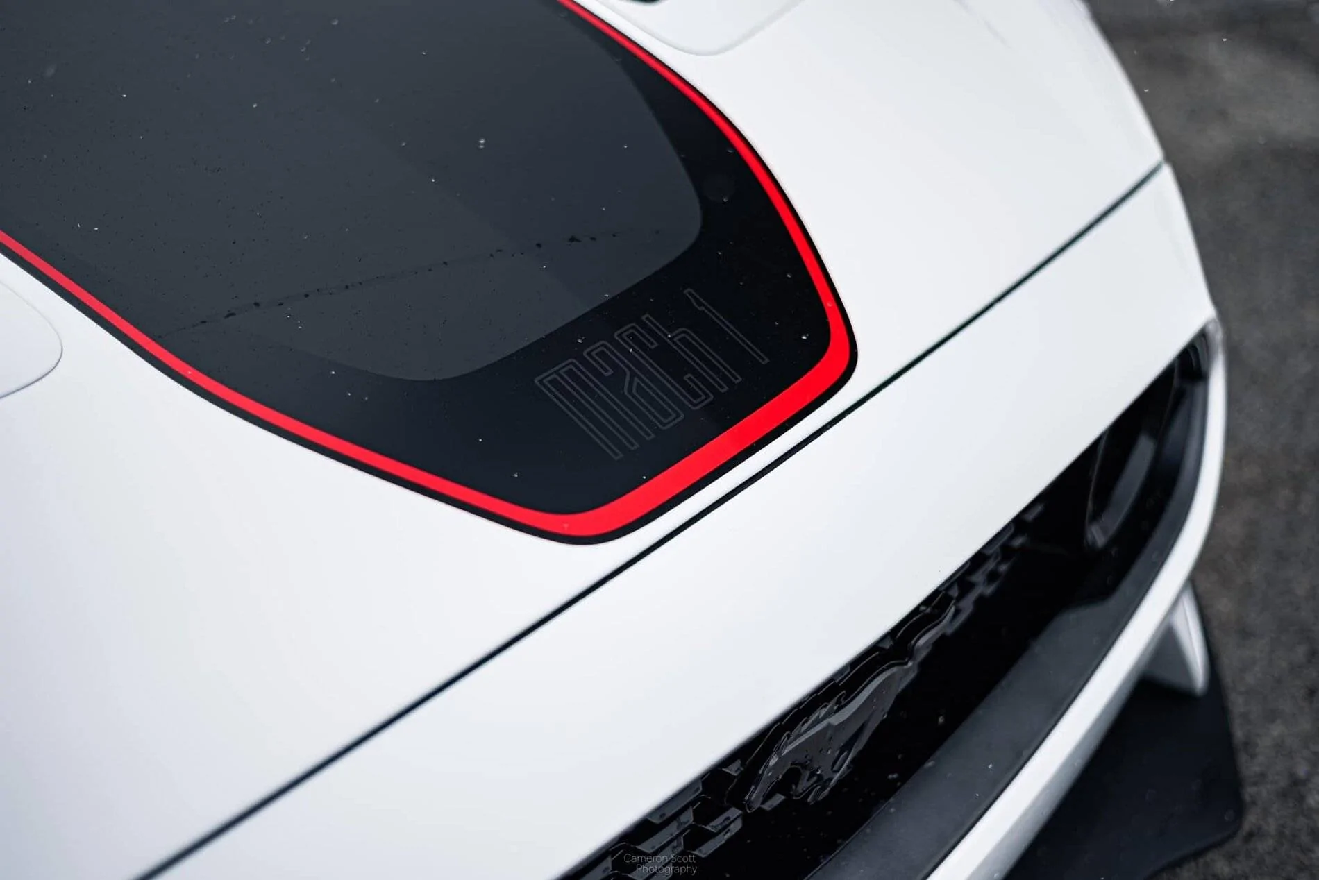21MY Mach 1 Dealer 11.jpg
