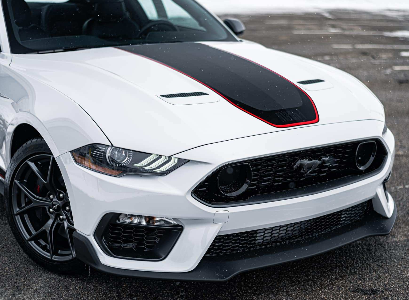 21MY Mach 1 Dealer 12.jpg