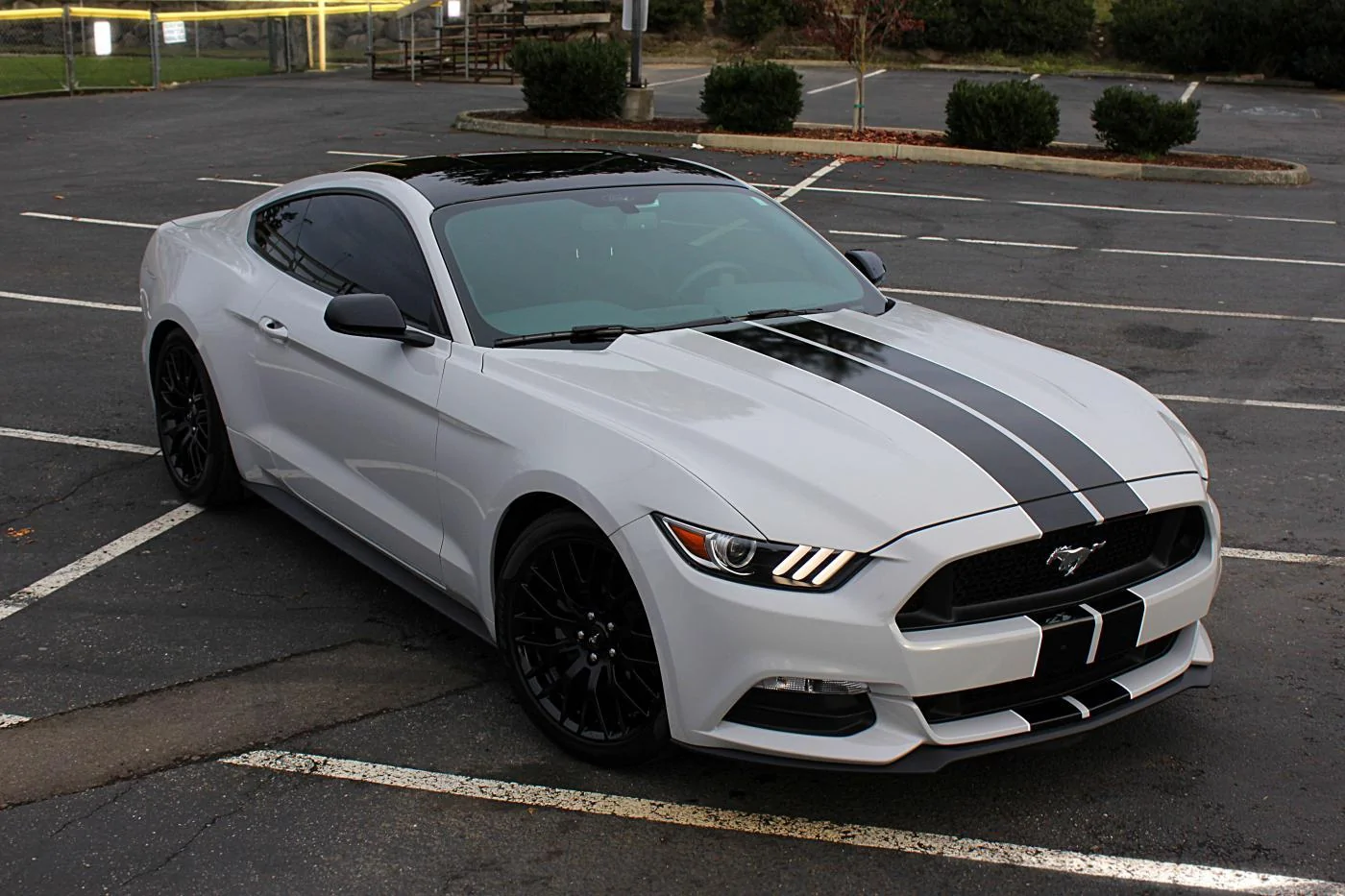 FBReadyMustang71.webp
