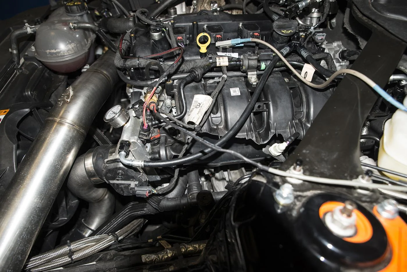 DSC_1384.webp