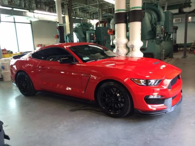 GT 350.webp