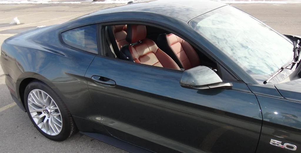 DSC00456 (1024x520).webp