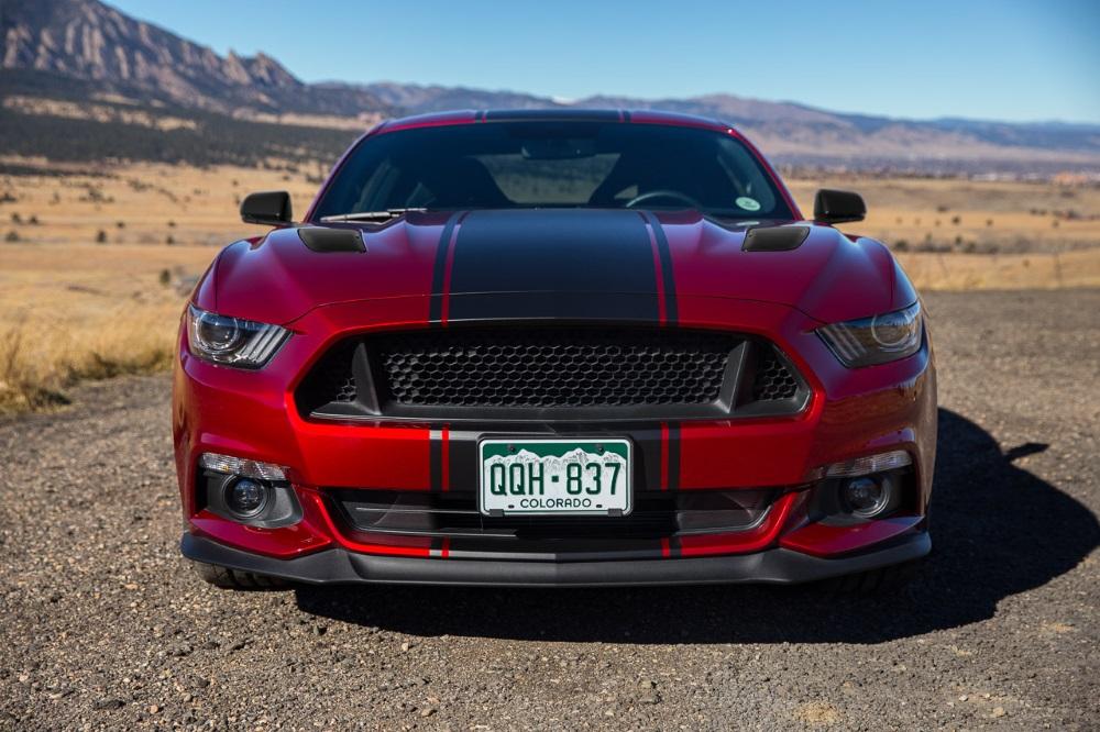mustang1.jpg