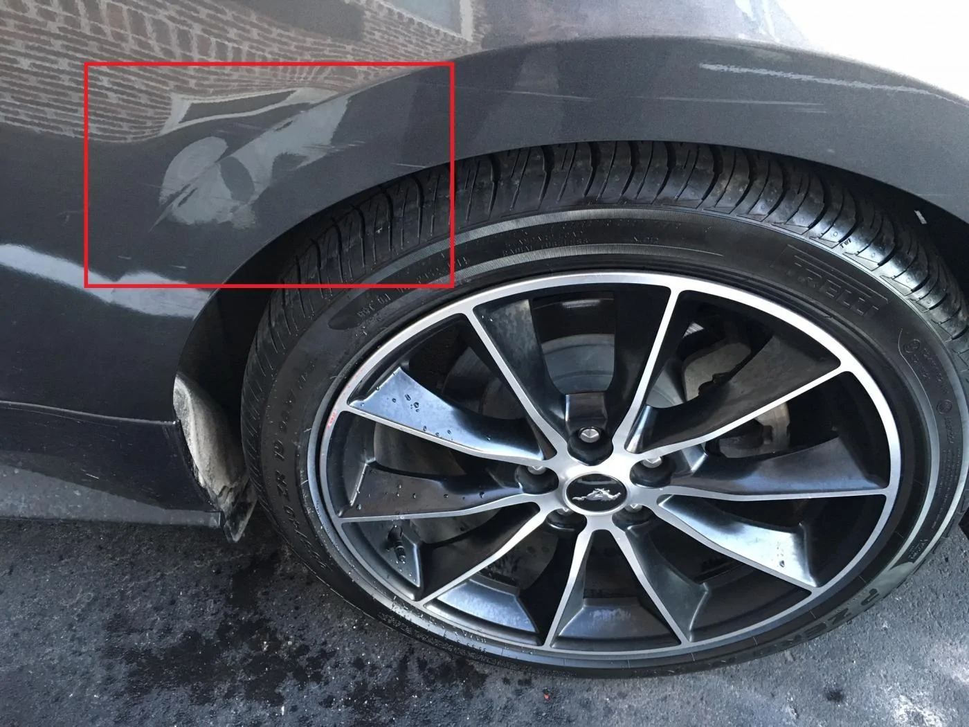 dent 1.webp