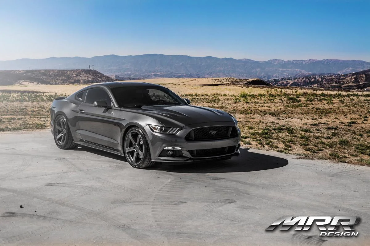 MUstang1.webp