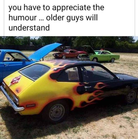pinto.jpg