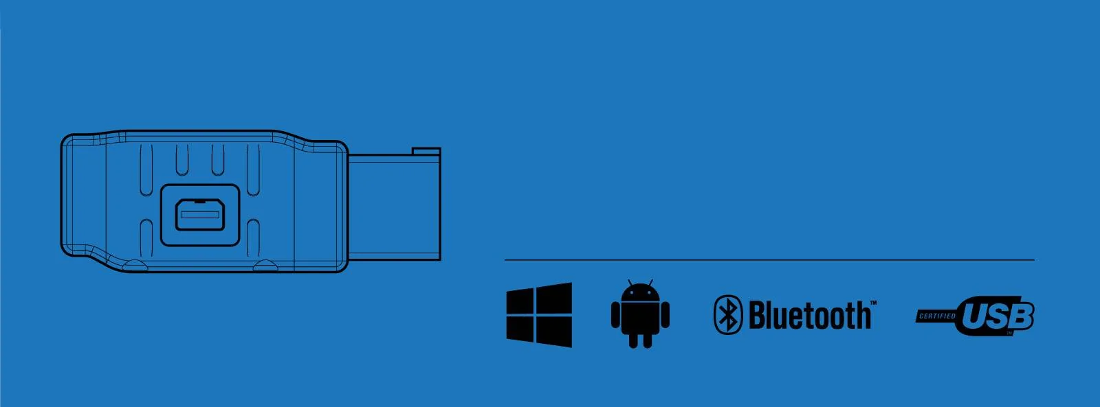 MPVI2_b.webp