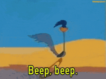 1614445183406.gif