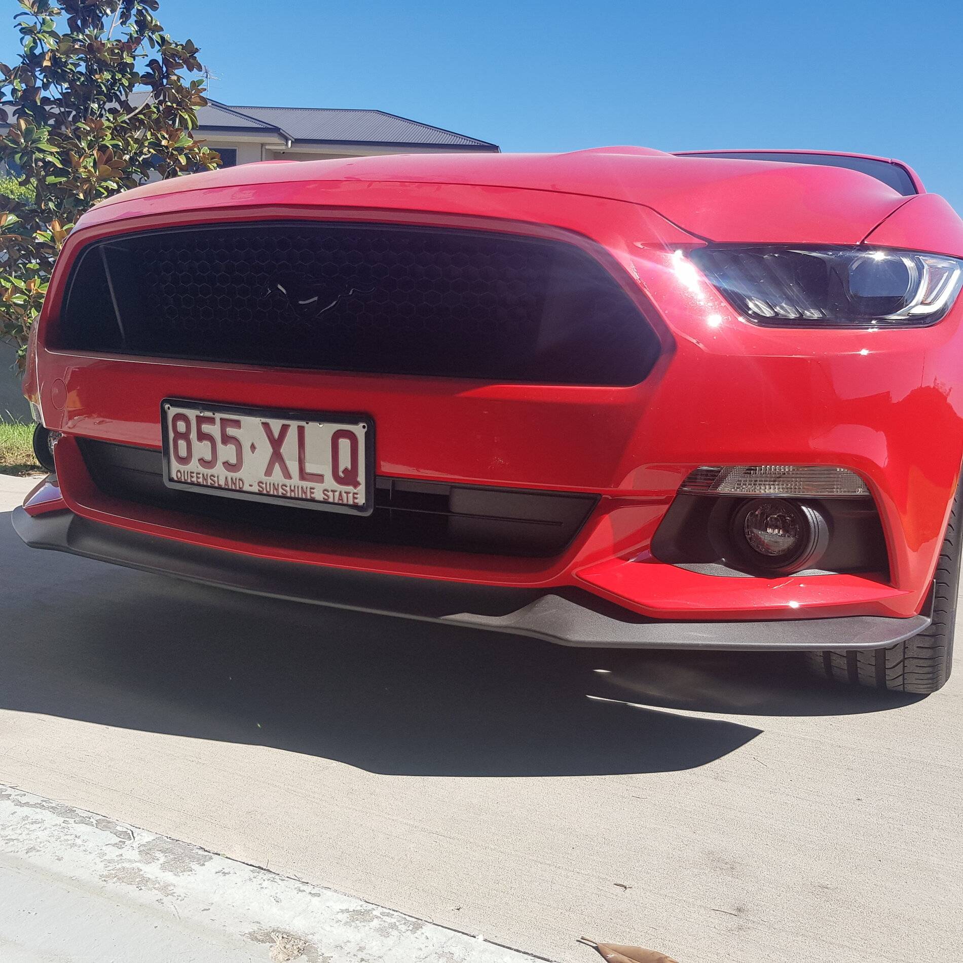 20190331_143004.jpg