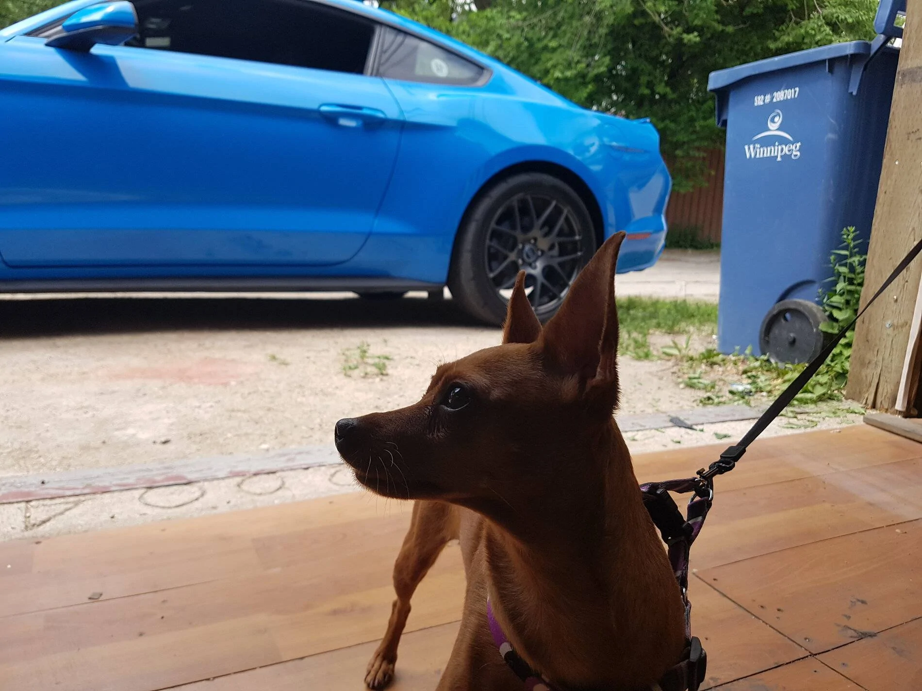 20180624_141638.webp