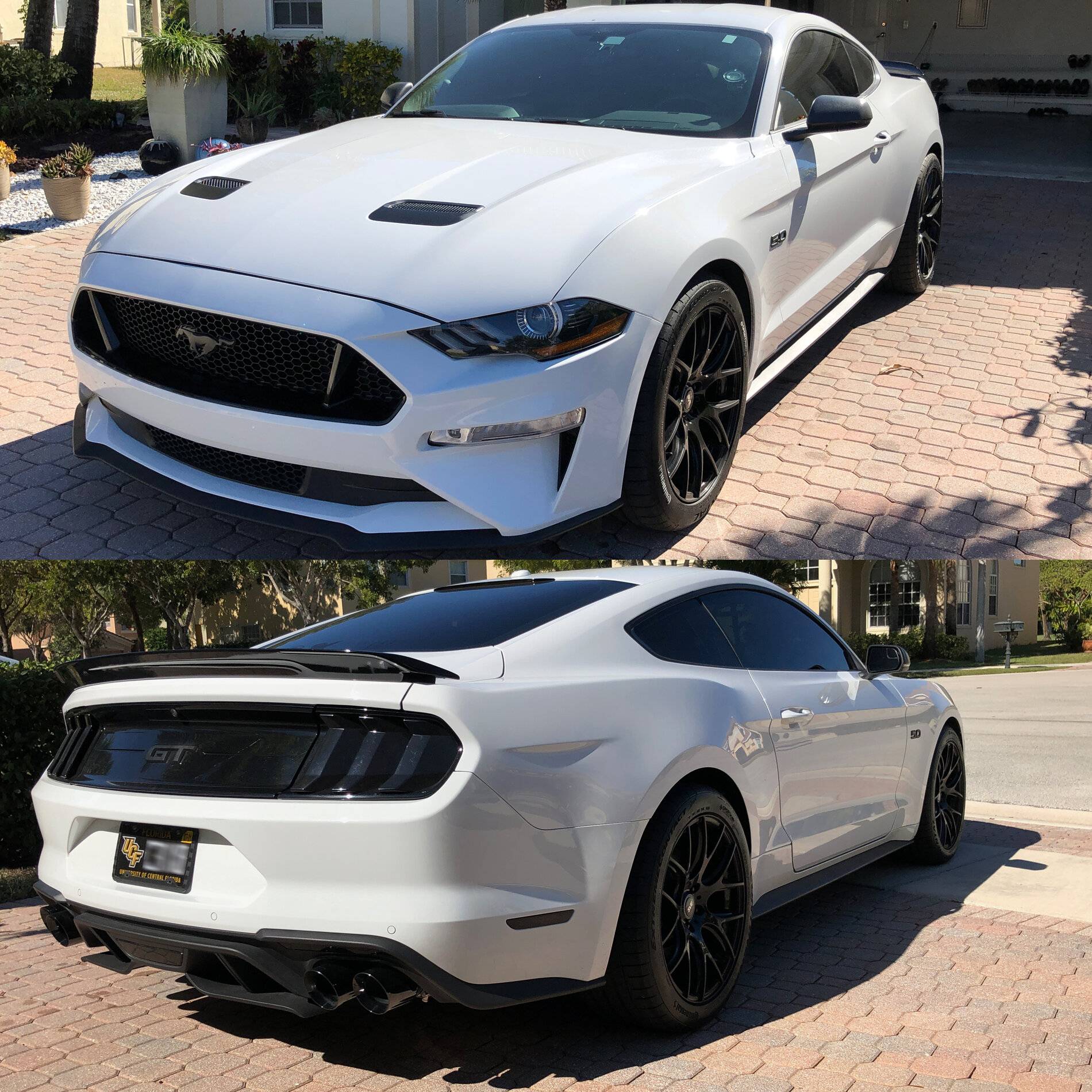 Day250GT.jpg